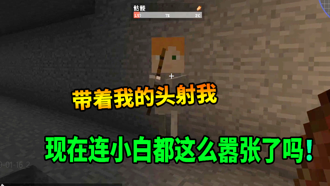 我的世界:被困在一个全是石头的世界要生存下去? 2